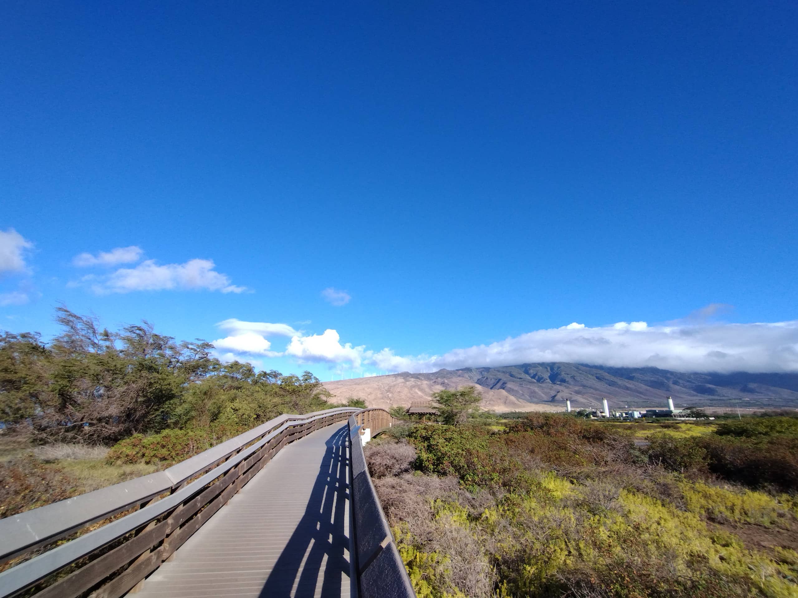 Rental unit in Wailuku · ★4.95 · 1 bedroom · 2 beds · 1 private bath - Image 42