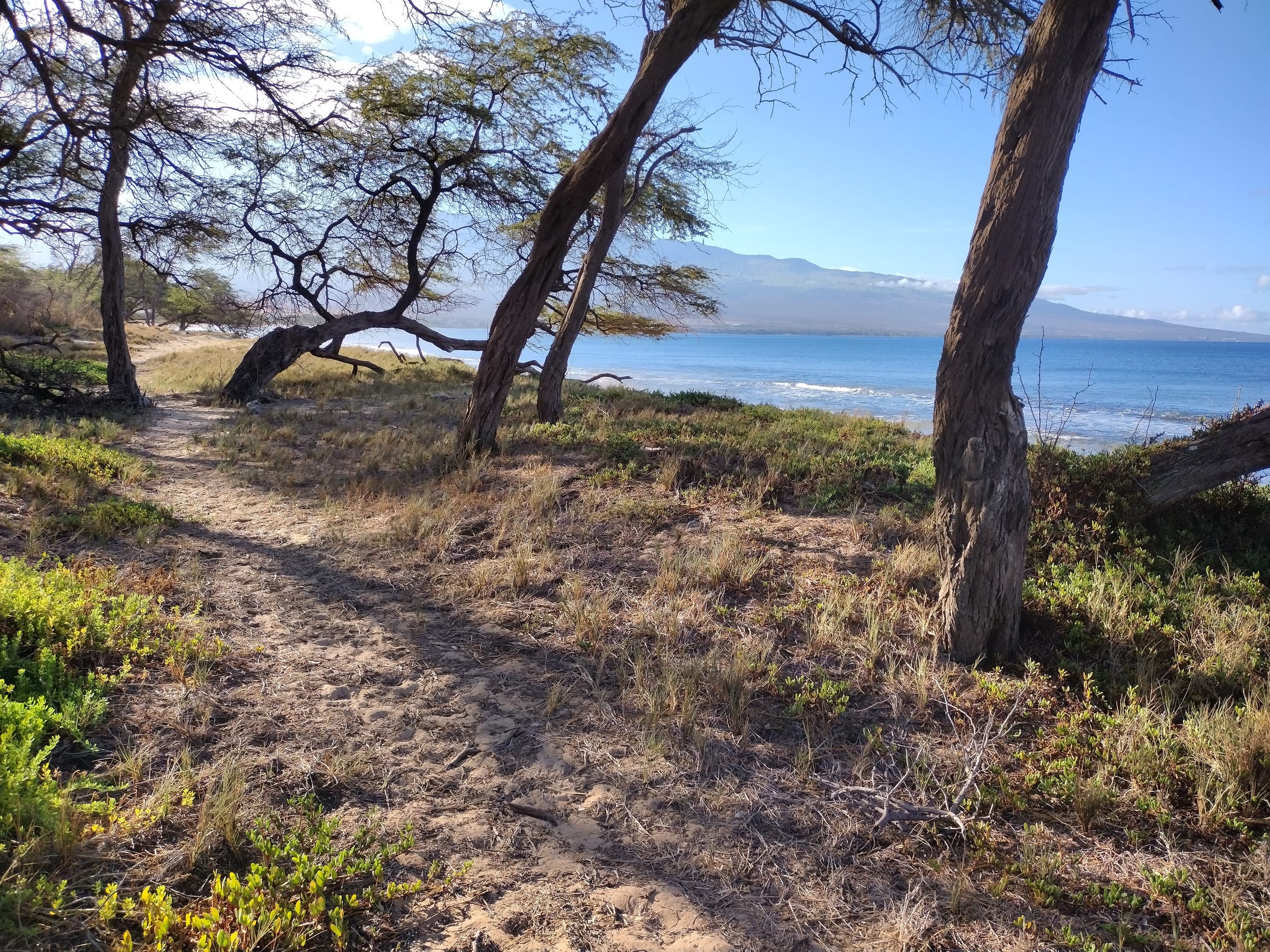 Rental unit in Wailuku · ★4.95 · 1 bedroom · 2 beds · 1 private bath - Image 55