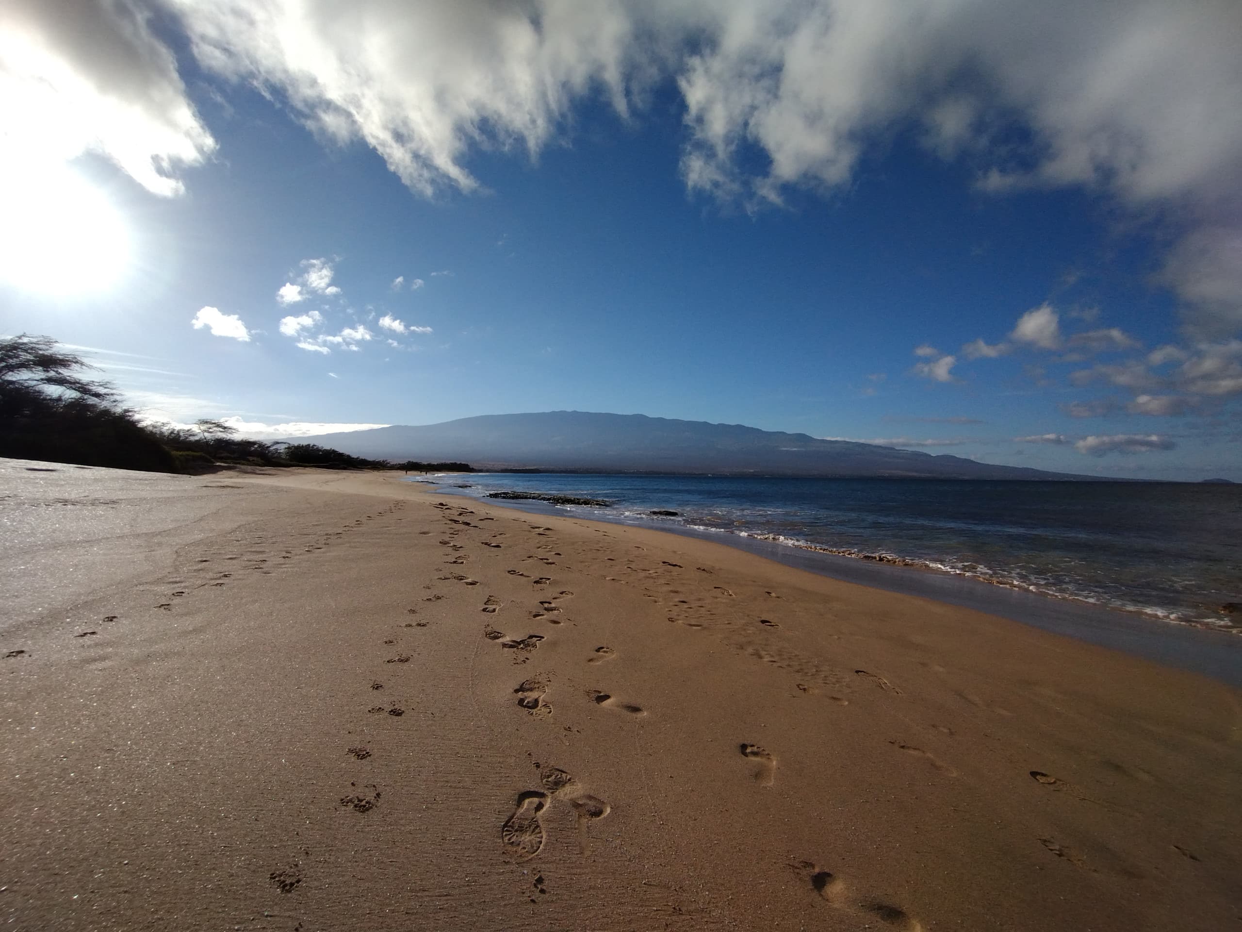 Rental unit in Wailuku · ★4.95 · 1 bedroom · 2 beds · 1 private bath - Image 37