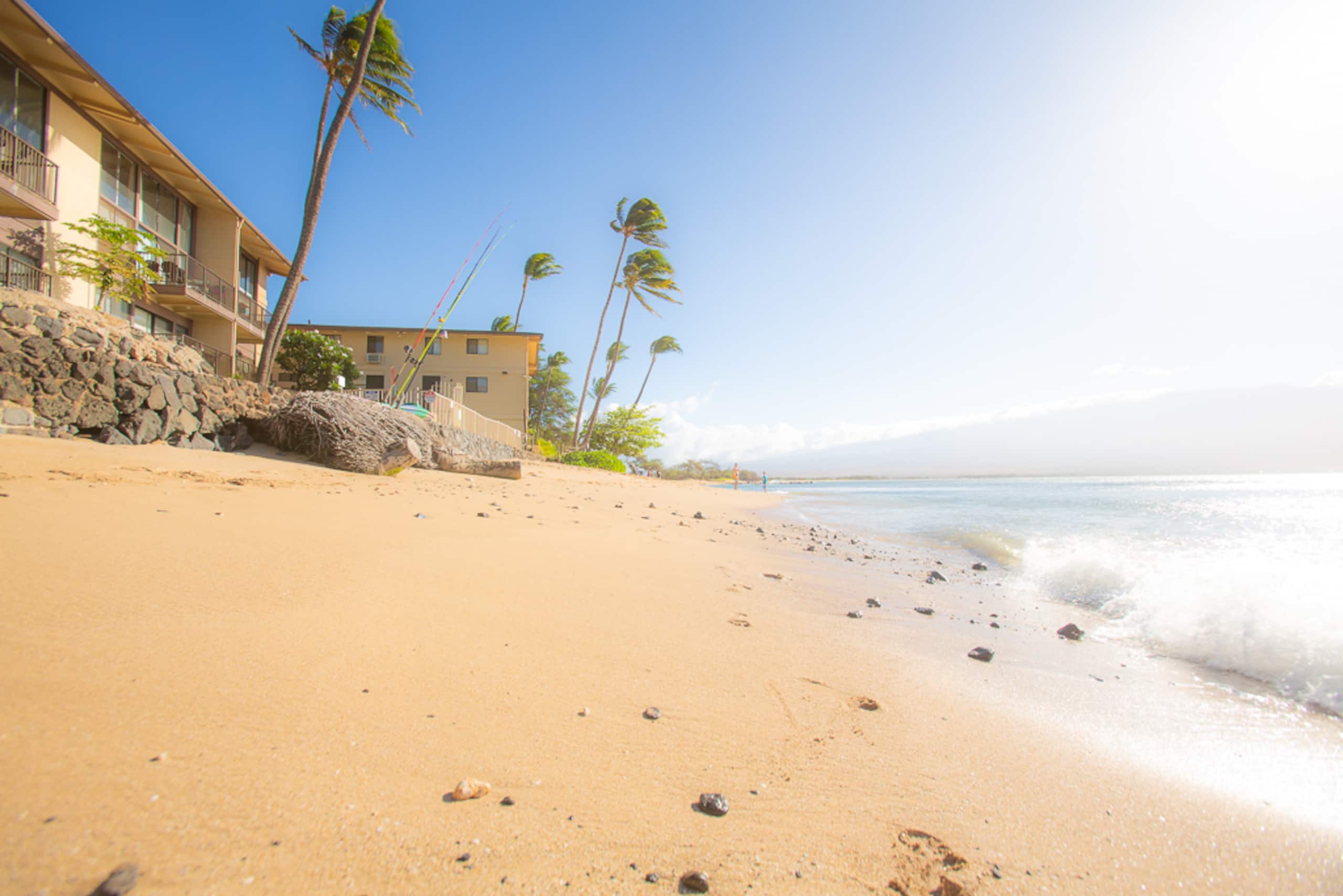 Rental unit in Wailuku · ★4.95 · 1 bedroom · 2 beds · 1 private bath - Image 27