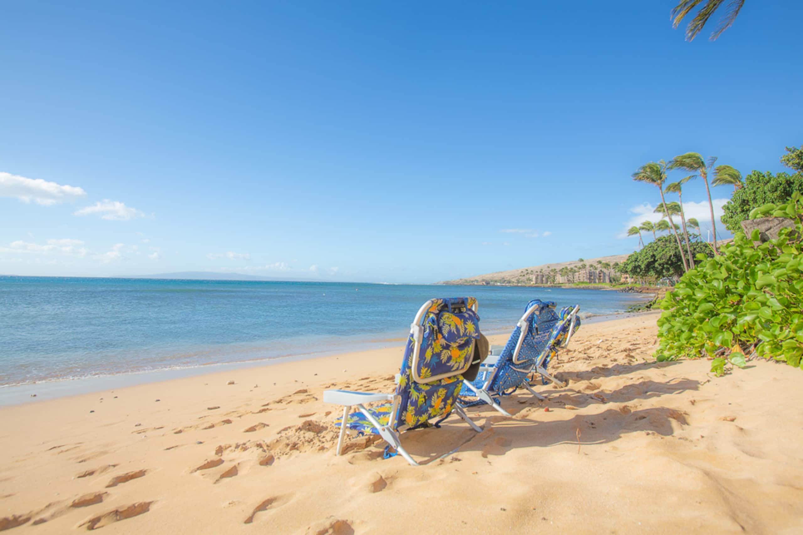 Rental unit in Wailuku · ★4.95 · 1 bedroom · 2 beds · 1 private bath - Image 30