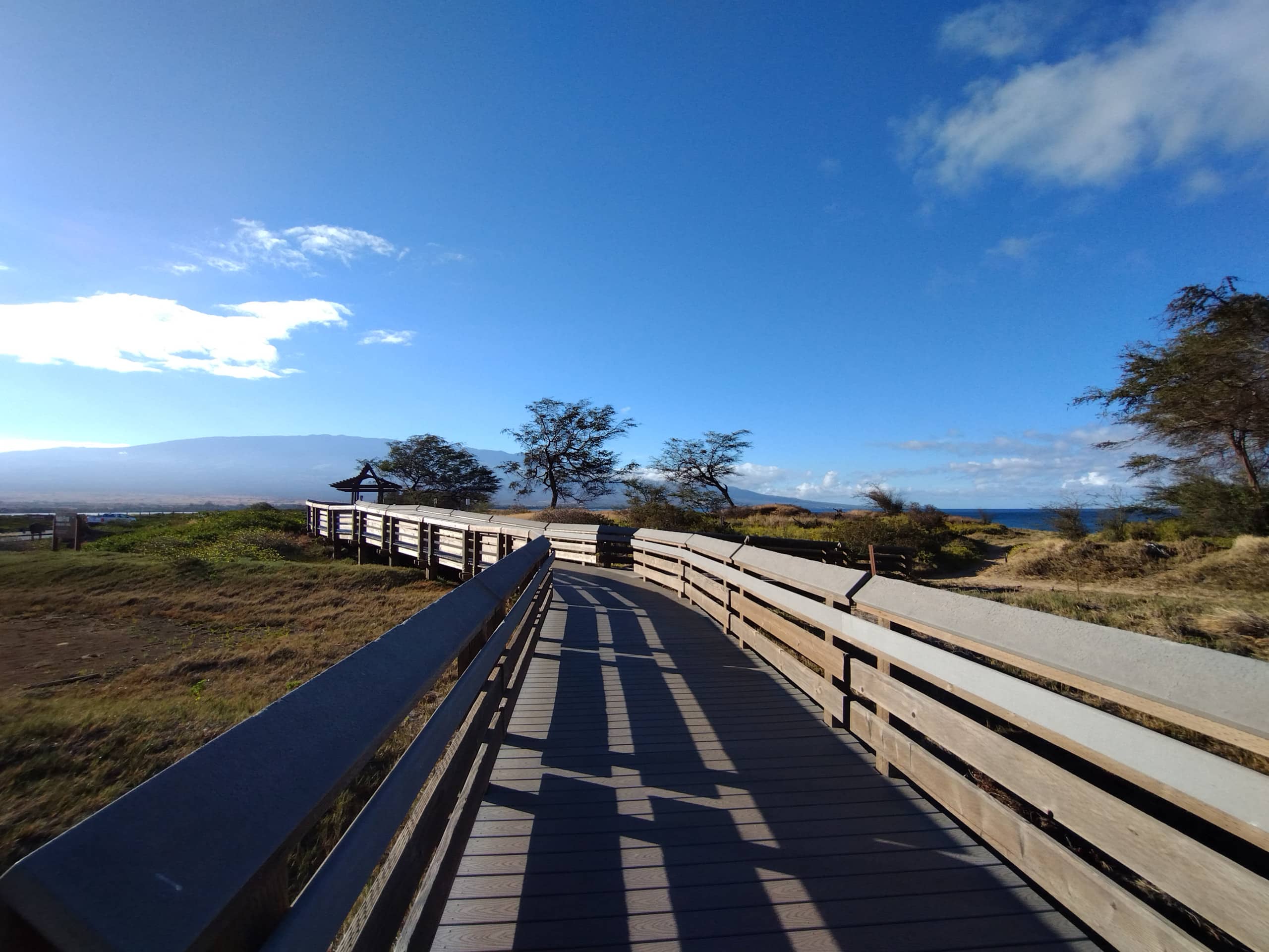 Rental unit in Wailuku · ★4.95 · 1 bedroom · 2 beds · 1 private bath - Image 40