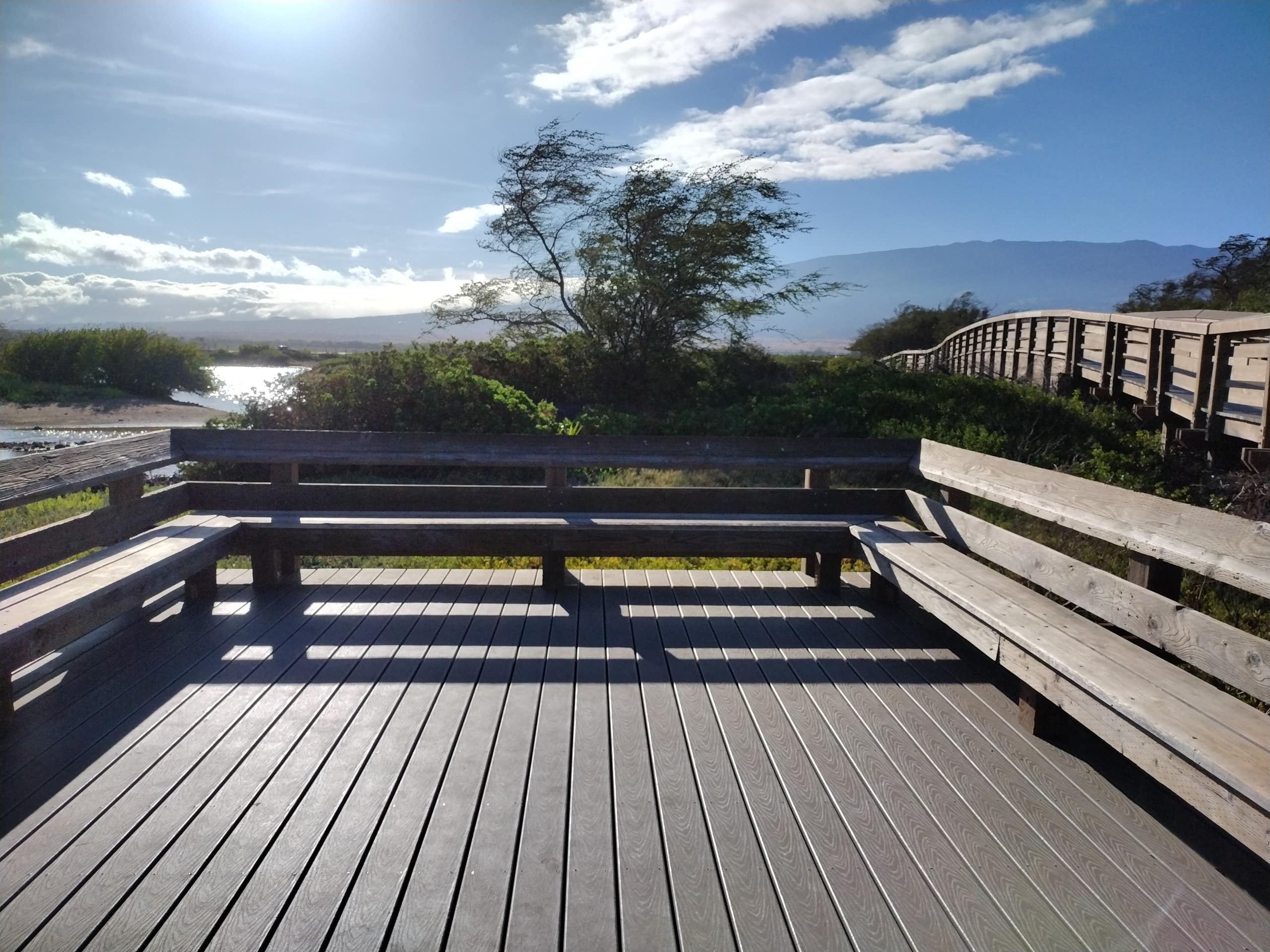 Rental unit in Wailuku · ★4.95 · 1 bedroom · 2 beds · 1 private bath - Image 41