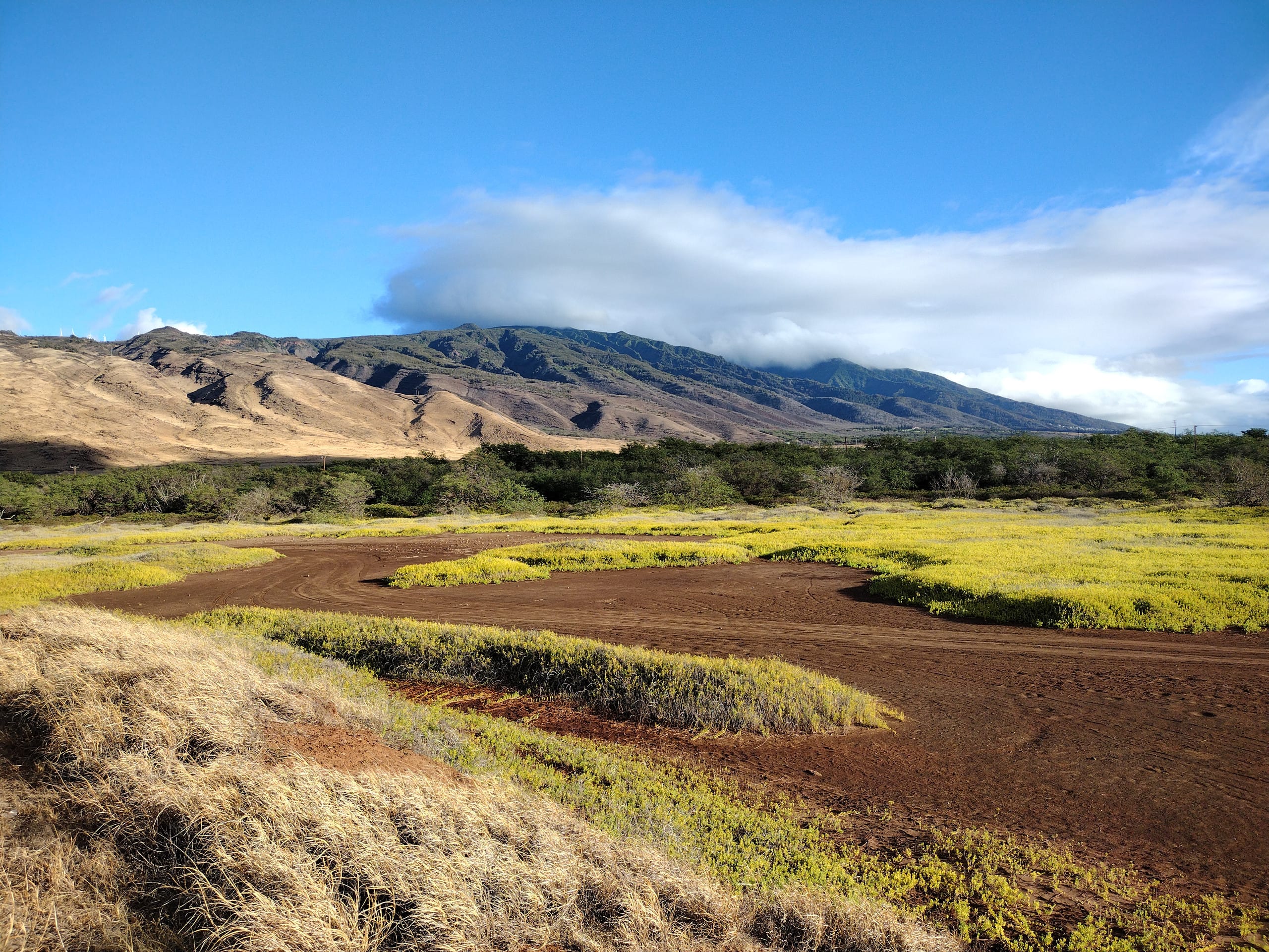 Rental unit in Wailuku · ★4.95 · 1 bedroom · 2 beds · 1 private bath - Image 54