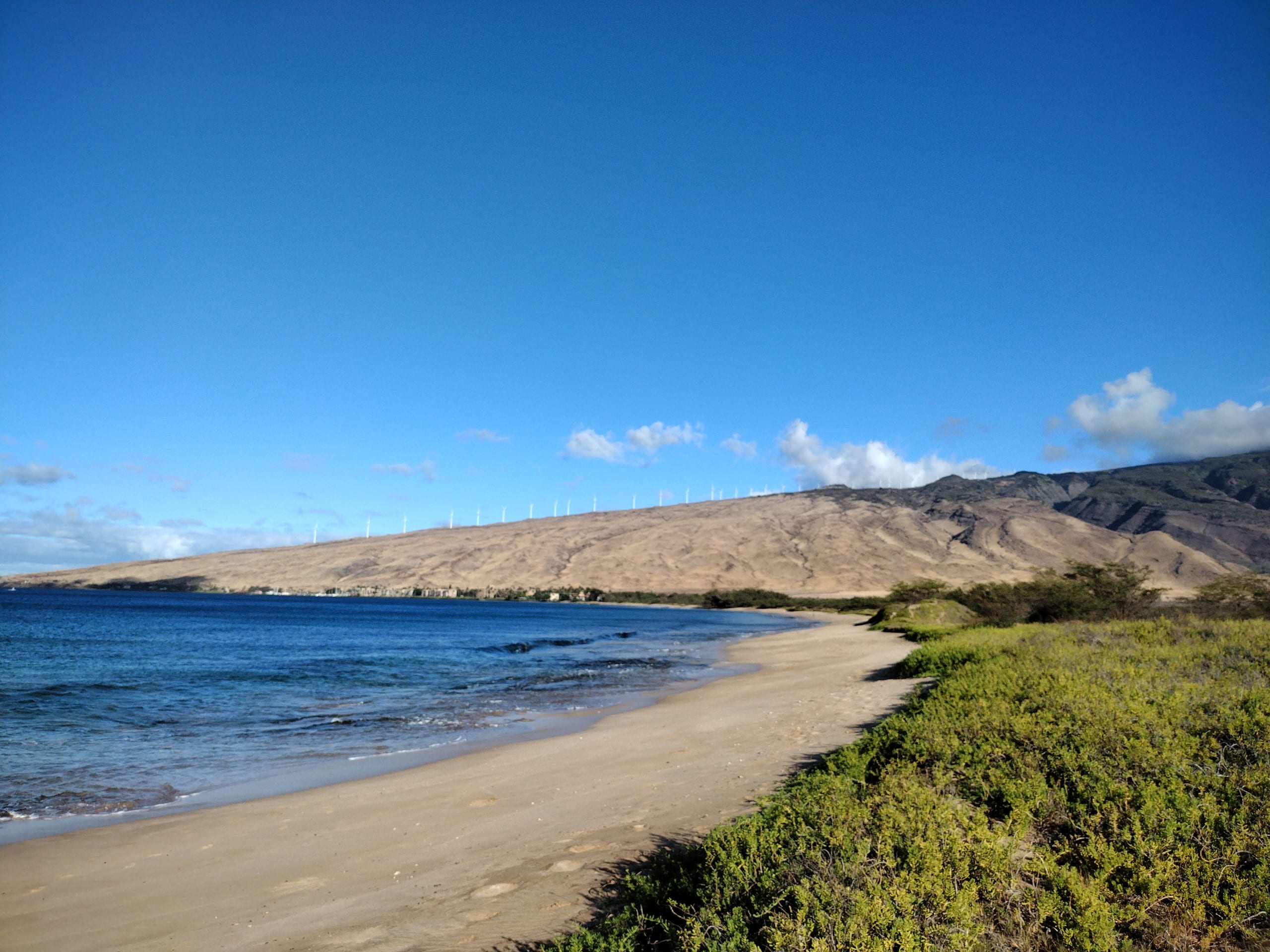 Rental unit in Wailuku · ★4.95 · 1 bedroom · 2 beds · 1 private bath - Image 51