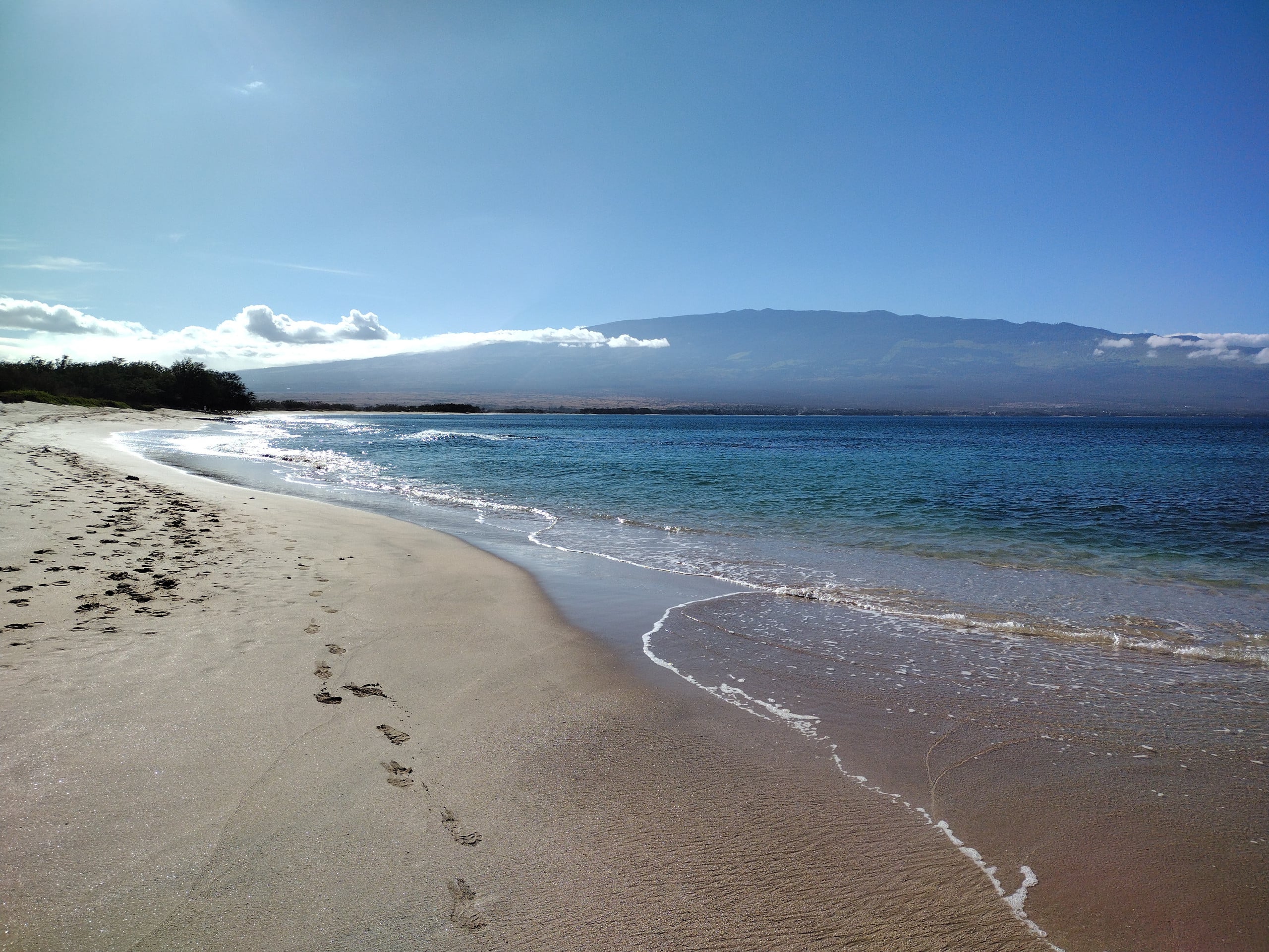Rental unit in Wailuku · ★4.95 · 1 bedroom · 2 beds · 1 private bath - Image 53