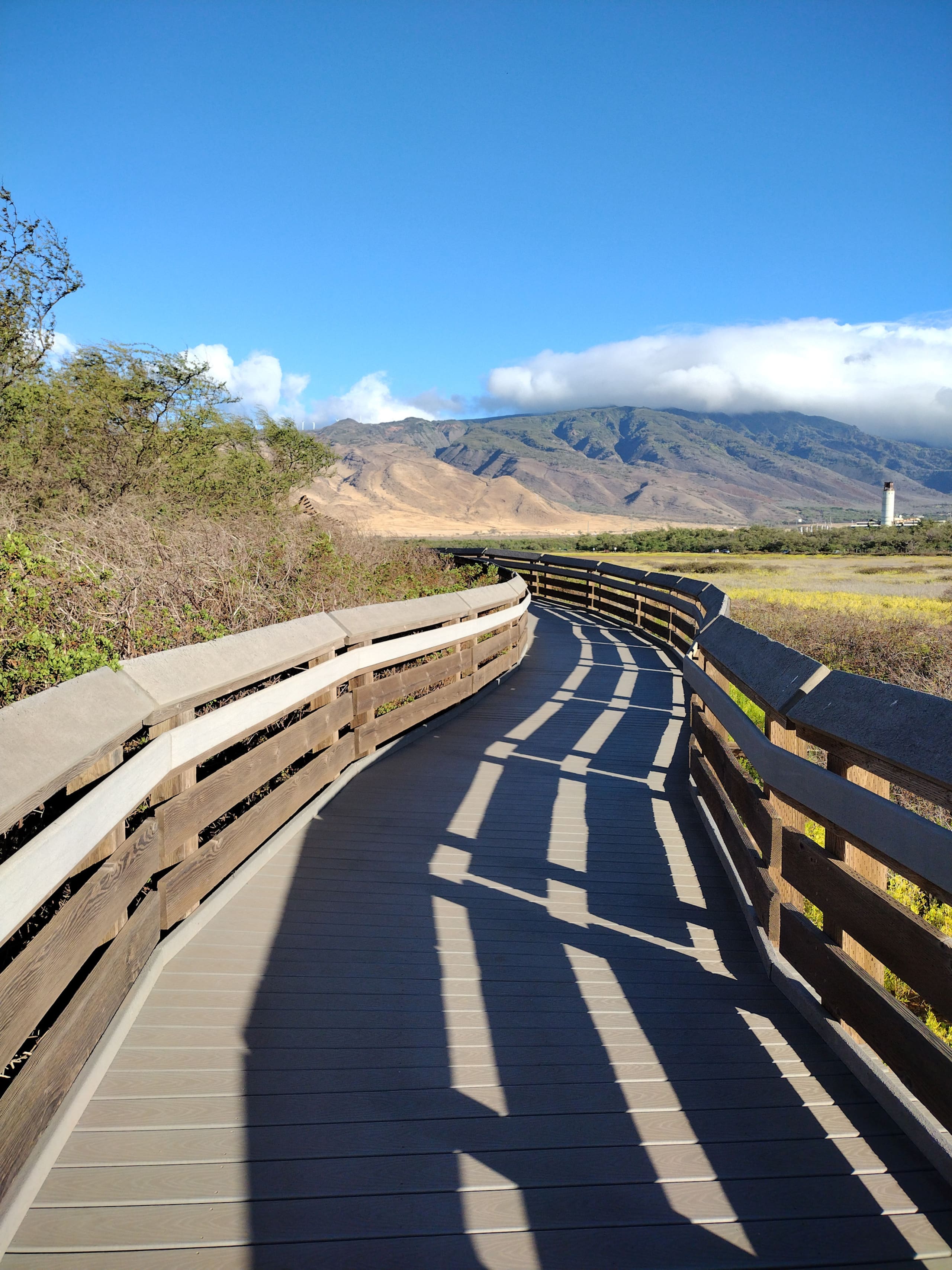 Rental unit in Wailuku · ★4.95 · 1 bedroom · 2 beds · 1 private bath - Image 48