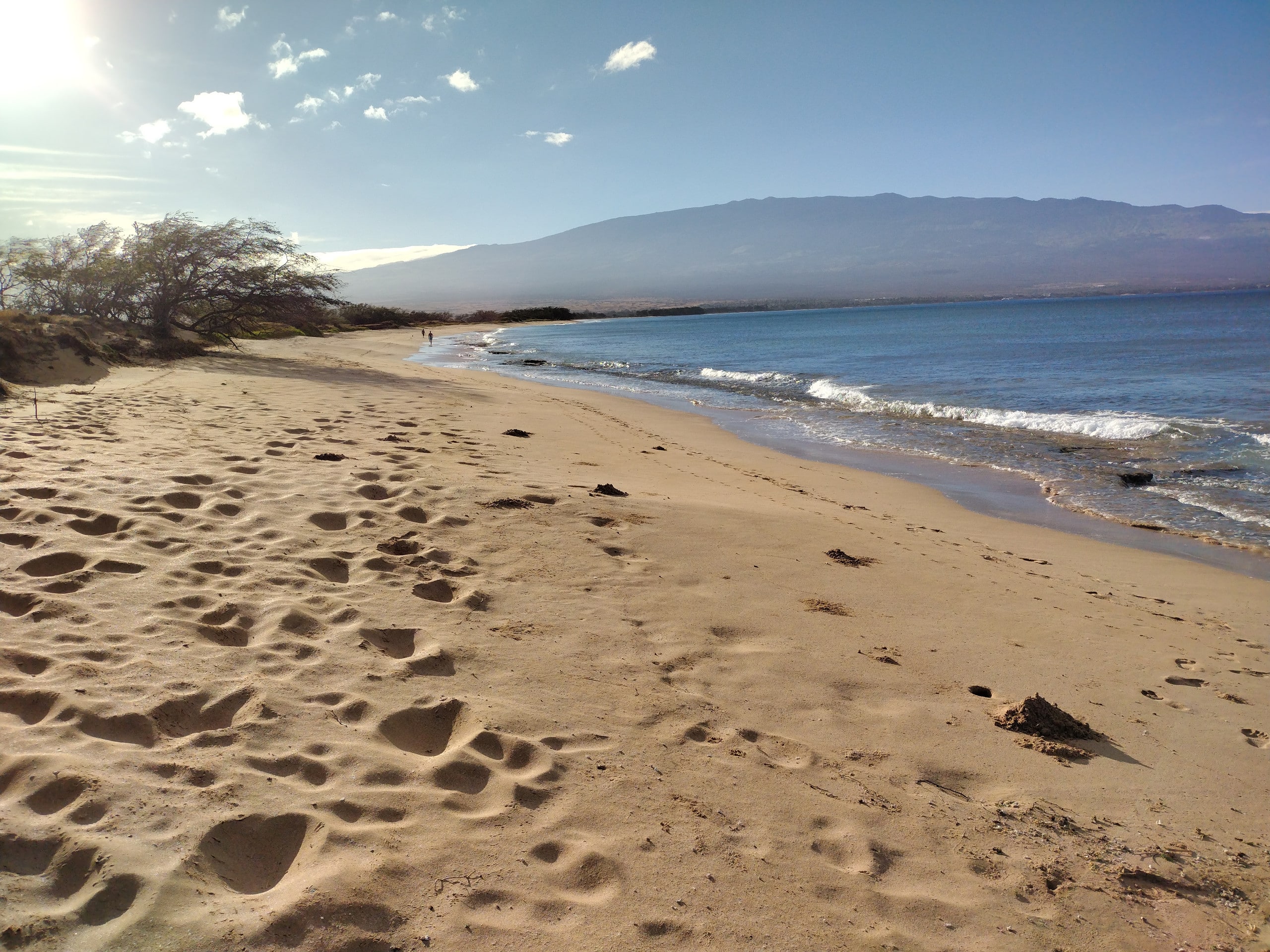 Rental unit in Wailuku · ★4.95 · 1 bedroom · 2 beds · 1 private bath - Image 50