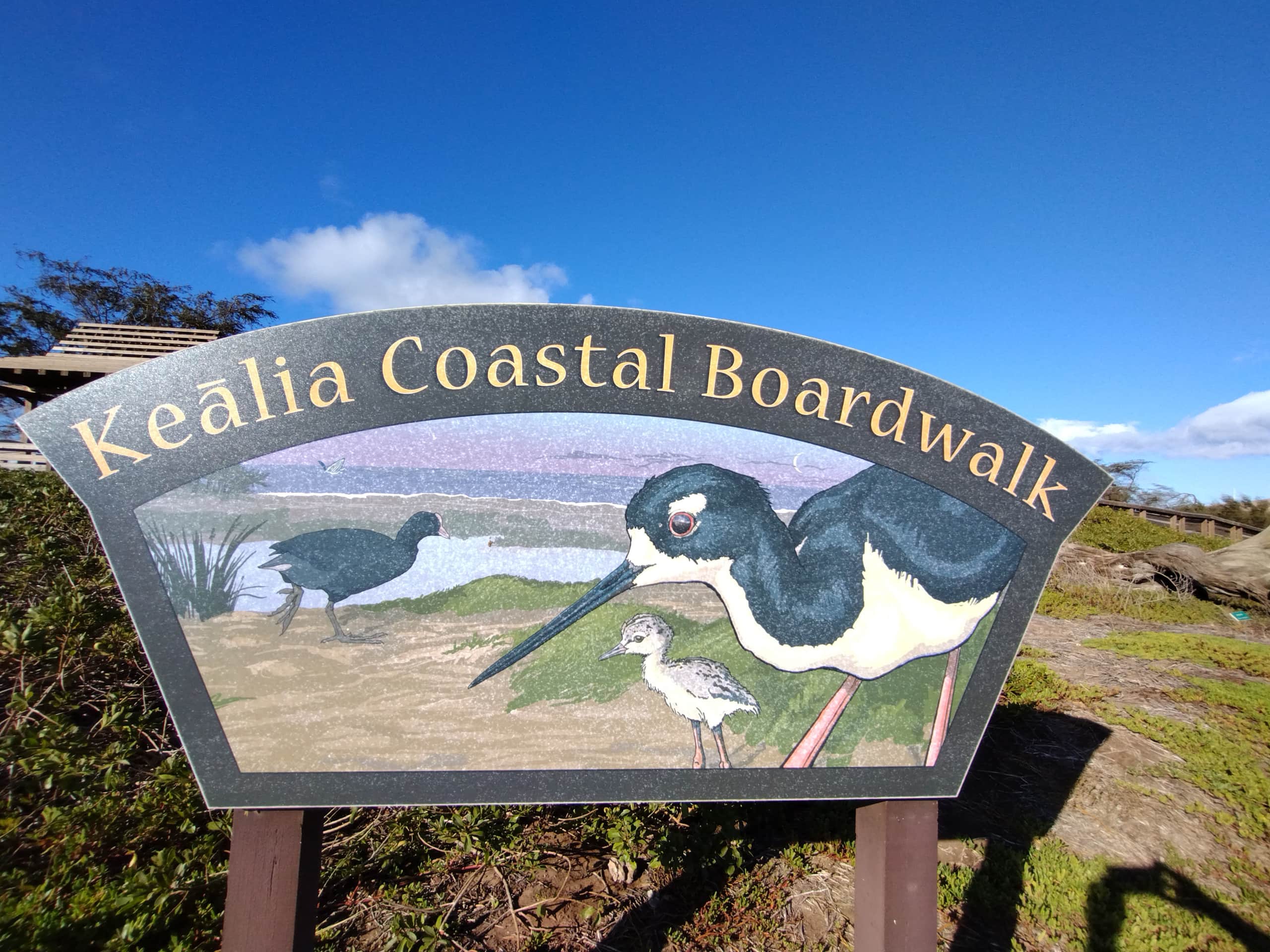 Rental unit in Wailuku · ★4.95 · 1 bedroom · 2 beds · 1 private bath - Image 43