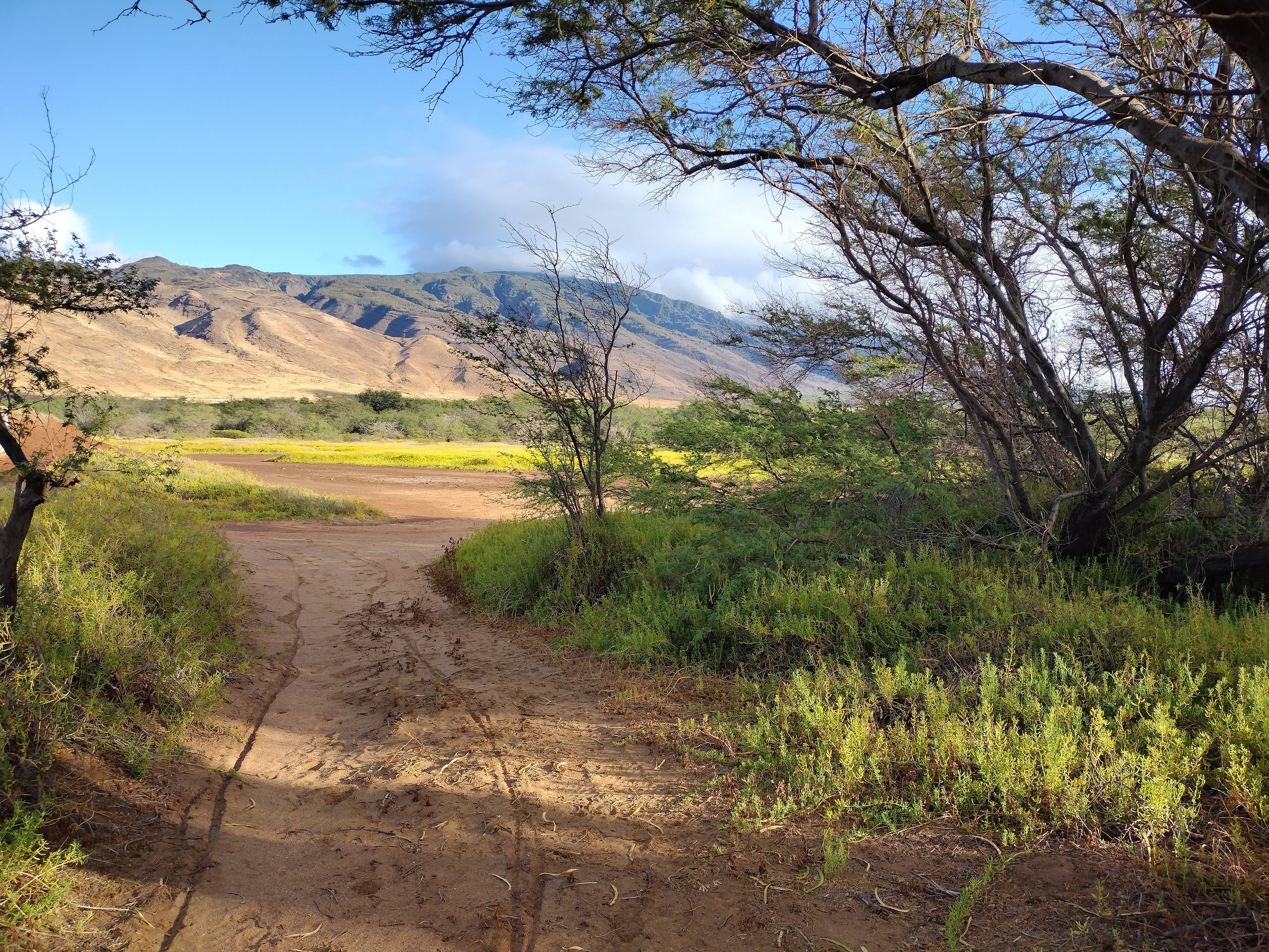 Rental unit in Wailuku · ★4.95 · 1 bedroom · 2 beds · 1 private bath - Image 56