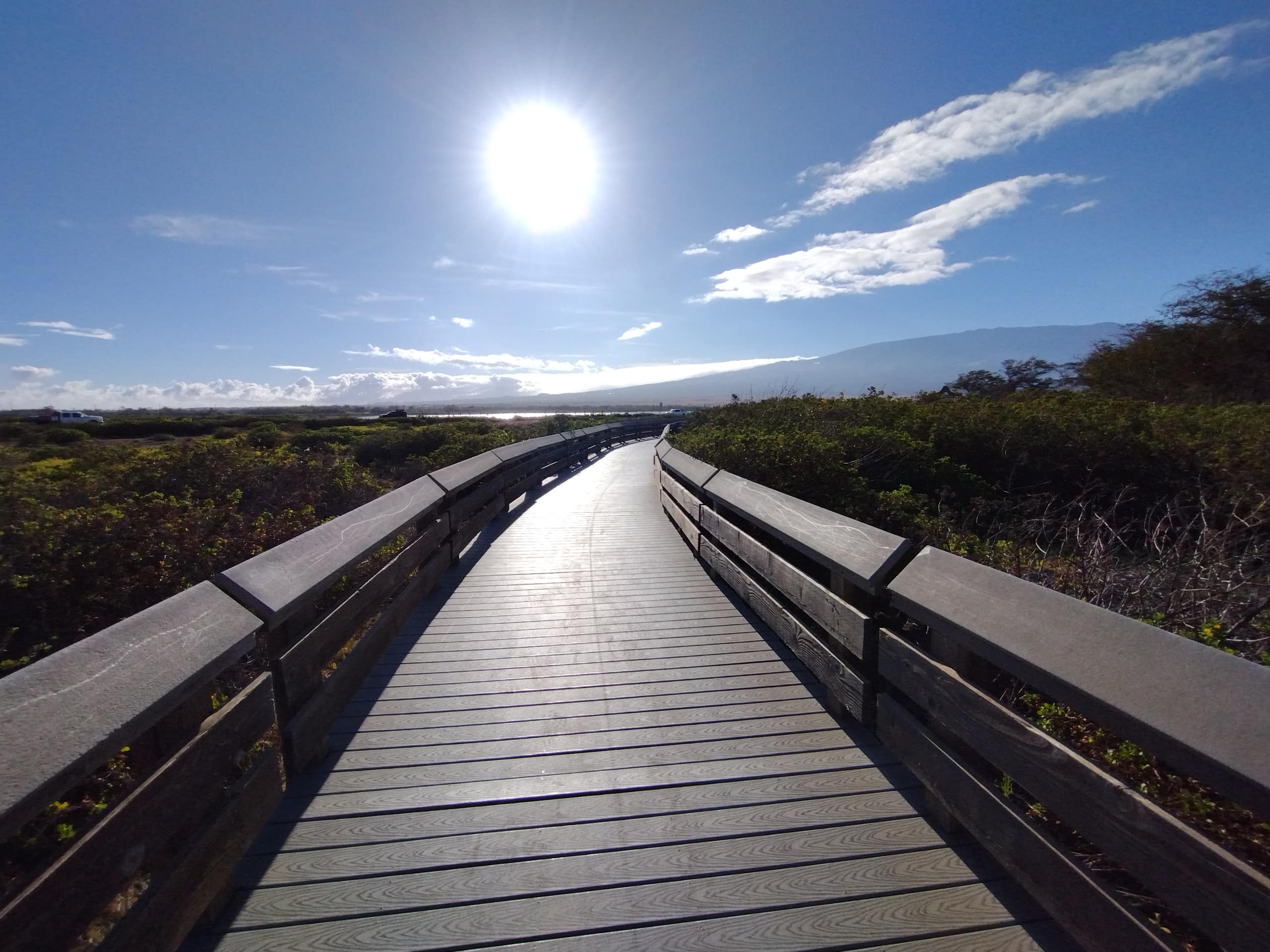 Rental unit in Wailuku · ★4.95 · 1 bedroom · 2 beds · 1 private bath - Image 36