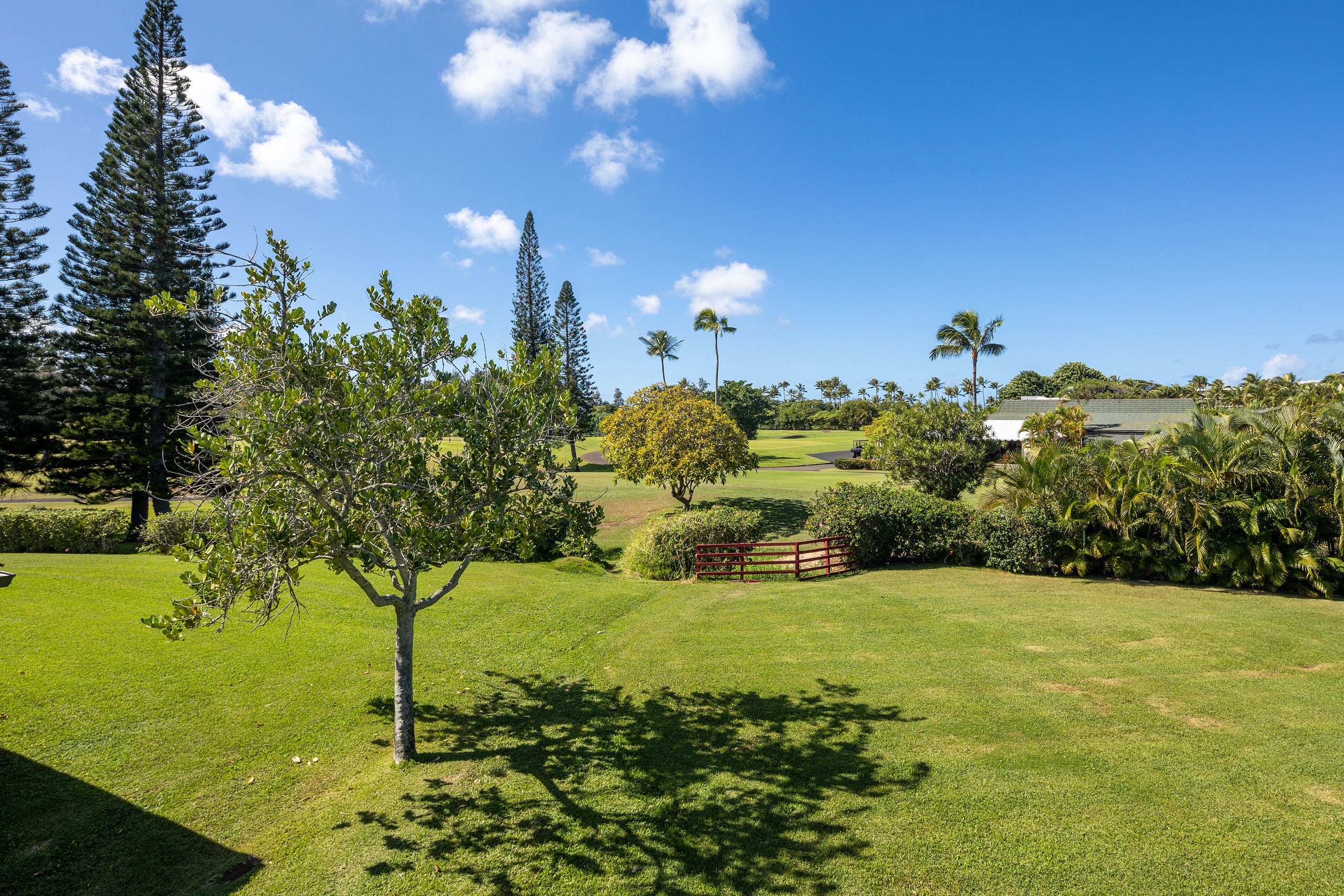 Condo in Kahuku · ★5.0 · 3 bedrooms · 6 beds · 2 private baths - Image 53
