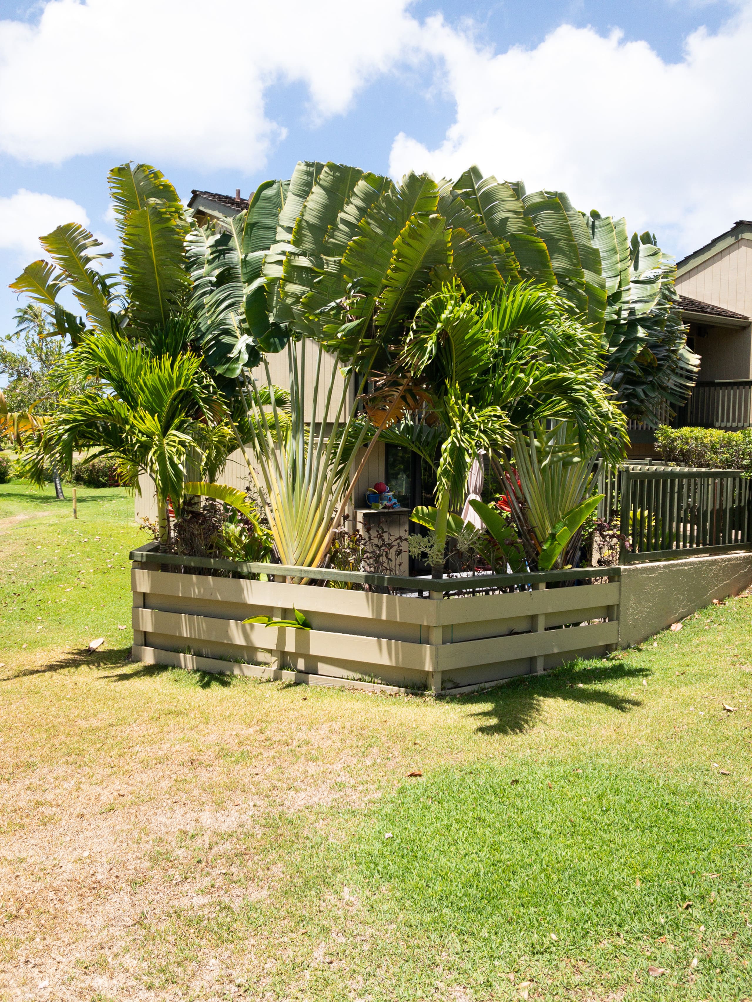 Condo in Kahuku · ★5.0 · 3 bedrooms · 6 beds · 2 private baths - Image 42