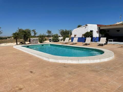 The Olive Tree House