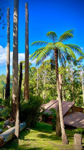 Melbourne Topview Villa Dandenong Ranges Australia gallery image 4