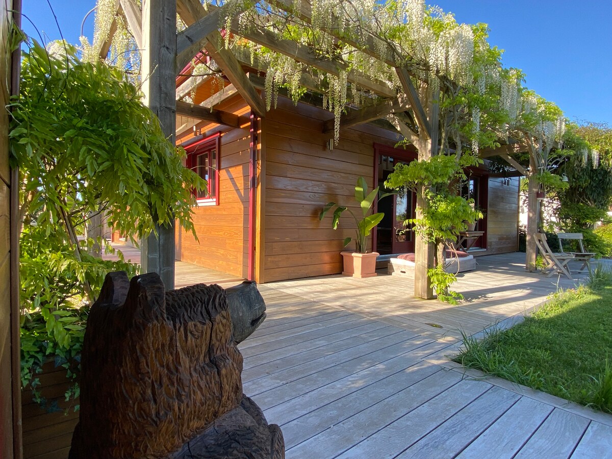 A wooden structure is framed by a spacious deck adorned with greenery. A wooden bear sculpture is positioned in the foreground. Wisteria drapes gracefully from the pergola, providing a natural shade to the outdoor space that leads towards the entrance of the house.