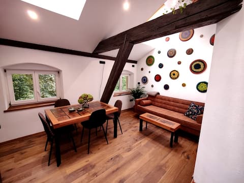 Popular Airbnb listing: Wood art Tivoli studio: in Osrednjeslovenska