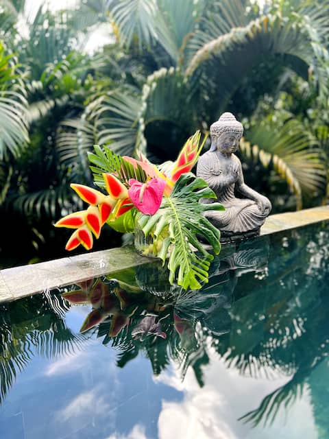 Ô Palm: in a little green setting