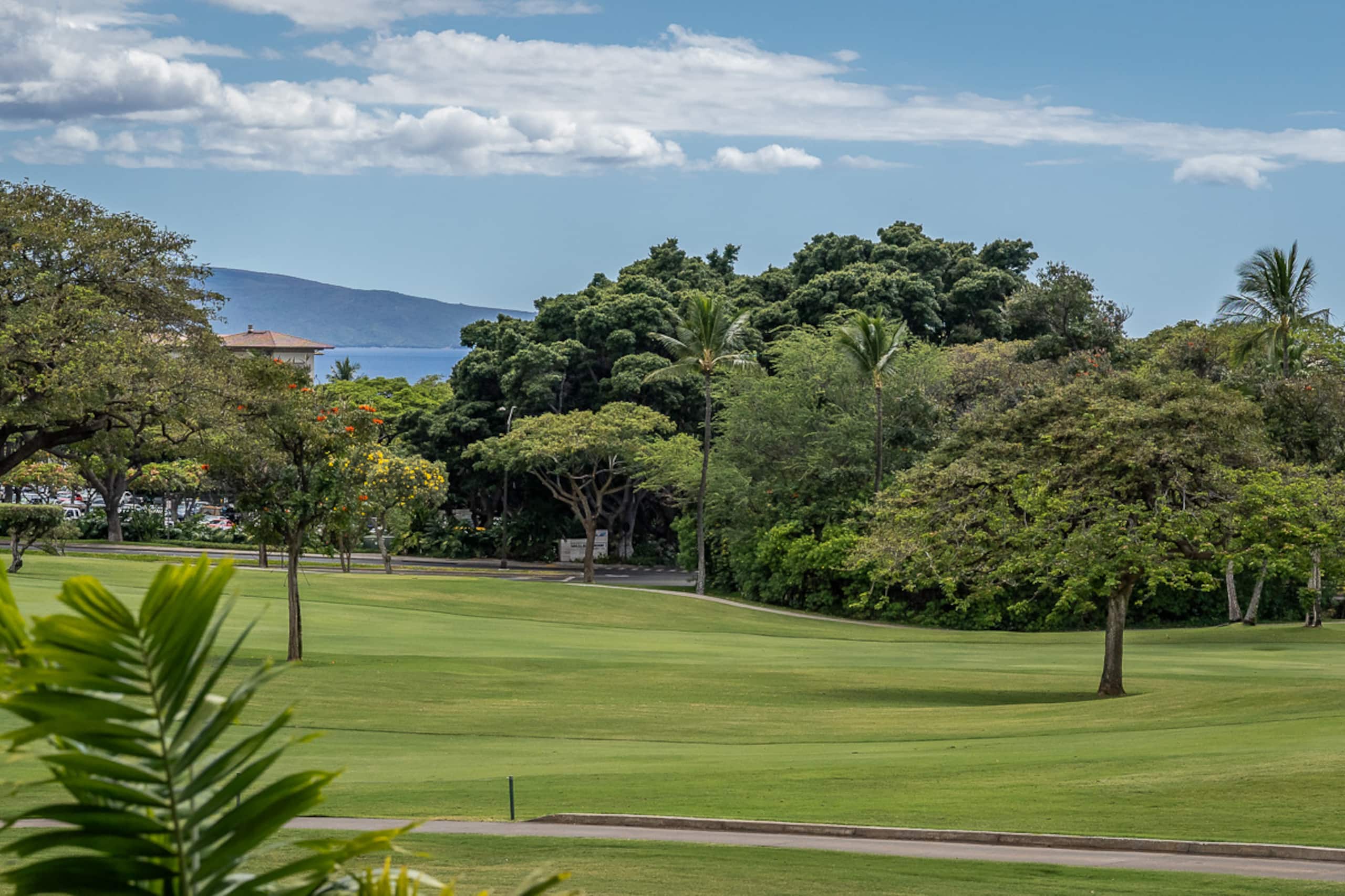 Condo in Wailea · ★5.0 · 1 bedroom · 2 beds · 2 baths - Image 29