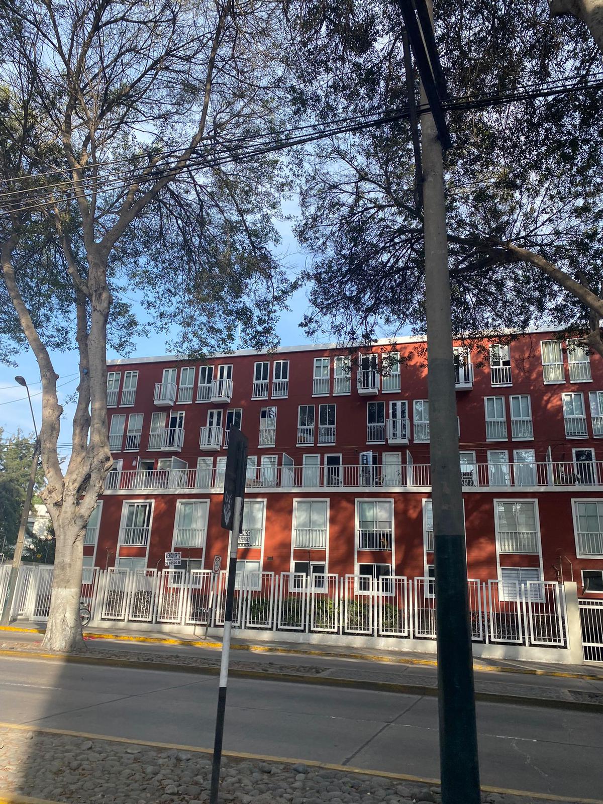 A red-brick building is framed by tall trees, displaying multiple large windows with white railings. The building's facade is lined with a wrought-iron fence, providing a sense of structure alongside the street. The sky is clear with scattered clouds above.