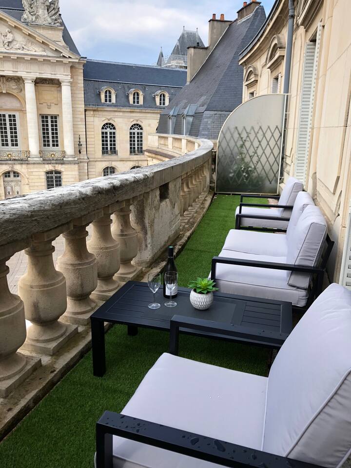 Good Children Dijon terrace apartment Apartments for Rent in Dijon