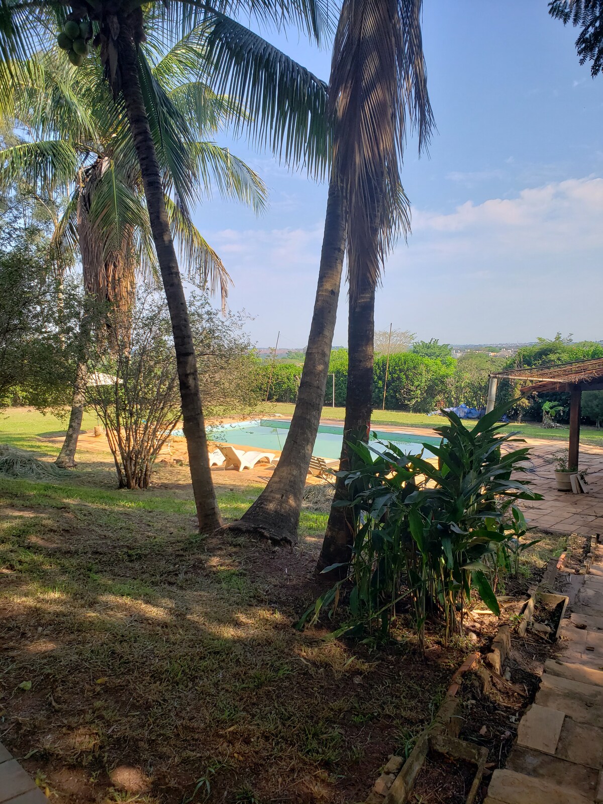 A tranquil outdoor space is framed by palm trees, leading to a clear swimming pool surrounded by greenery. The area showcases a mix of natural landscaping and paved paths, inviting relaxation and outdoor activities.