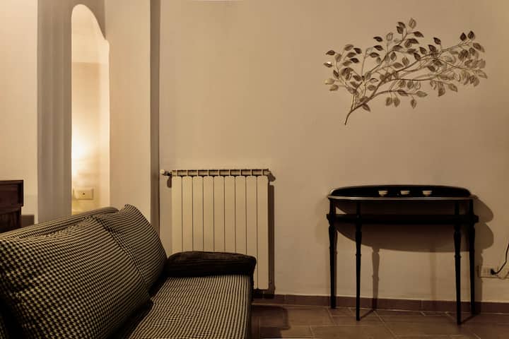 Elegante Monolocale In Santa Croce - Florencia