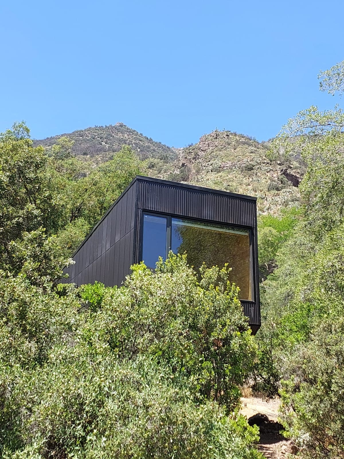 A modern tiny house is nestled among lush greenery, featuring a large front window that reflects the surrounding nature. The structure is framed by mountains, highlighting its integration into the landscape. Bright blue skies serve as a backdrop, enhancing the serene environment.