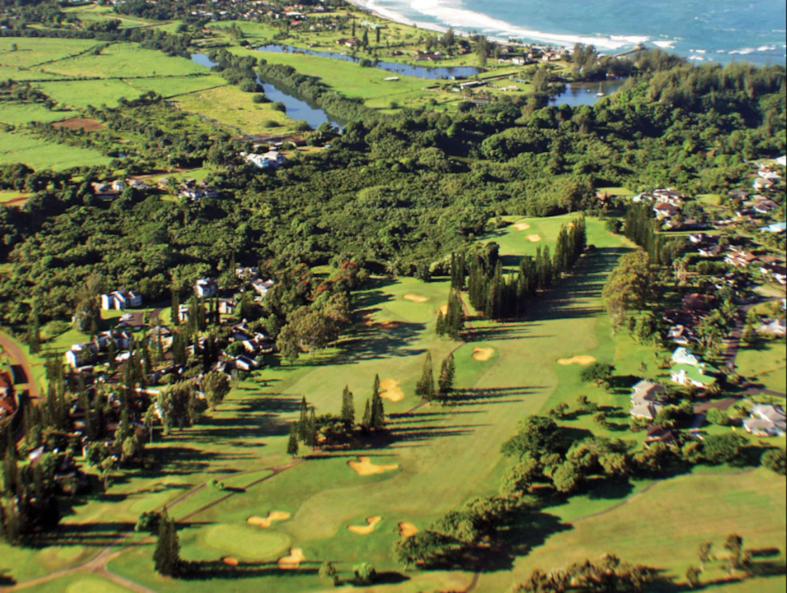 Condo in Princeville · ★5.0 · 1 bedroom · 1 bed · 1 bath - Image 12