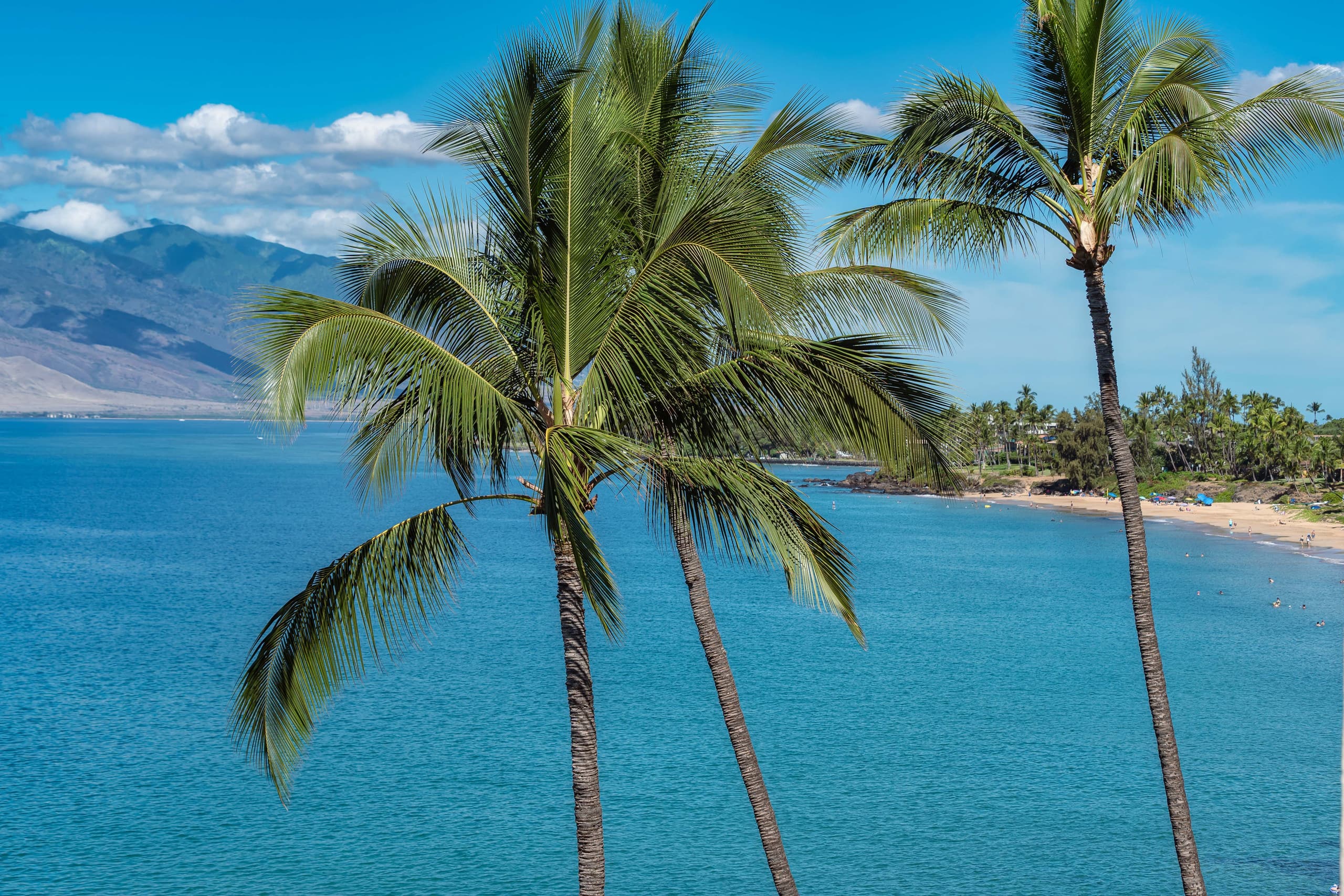 Top Floor-Stunning Ocean Views - Image 49