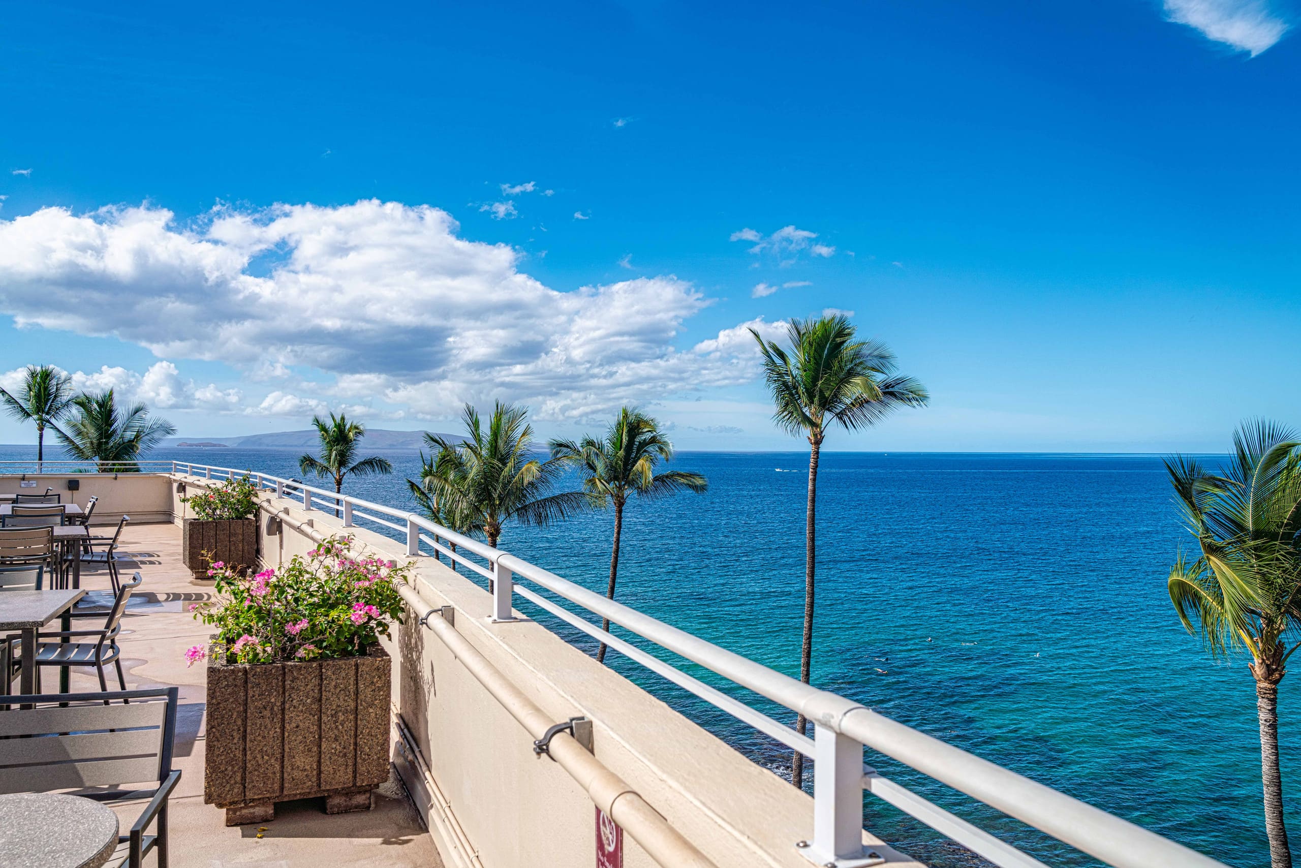 Top Floor-Stunning Ocean Views - Image 34