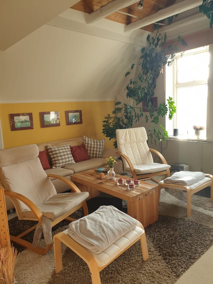 Gemütlicher Schlafplatz Wohnungen zur Miete in Rostock, Mecklenburg