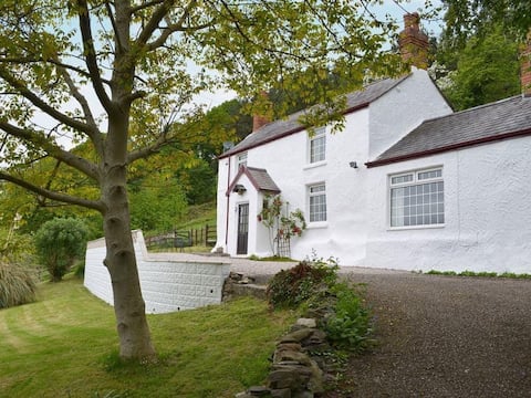 Cosy welsh cottage with Snowdonia views