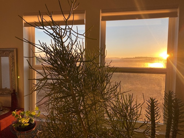 Sunlight streams through two large windows, illuminating the room and highlighting a collection of indoor plants. A natural landscape can be seen beyond, with the sun rising over distant hills, creating a warm and serene atmosphere.