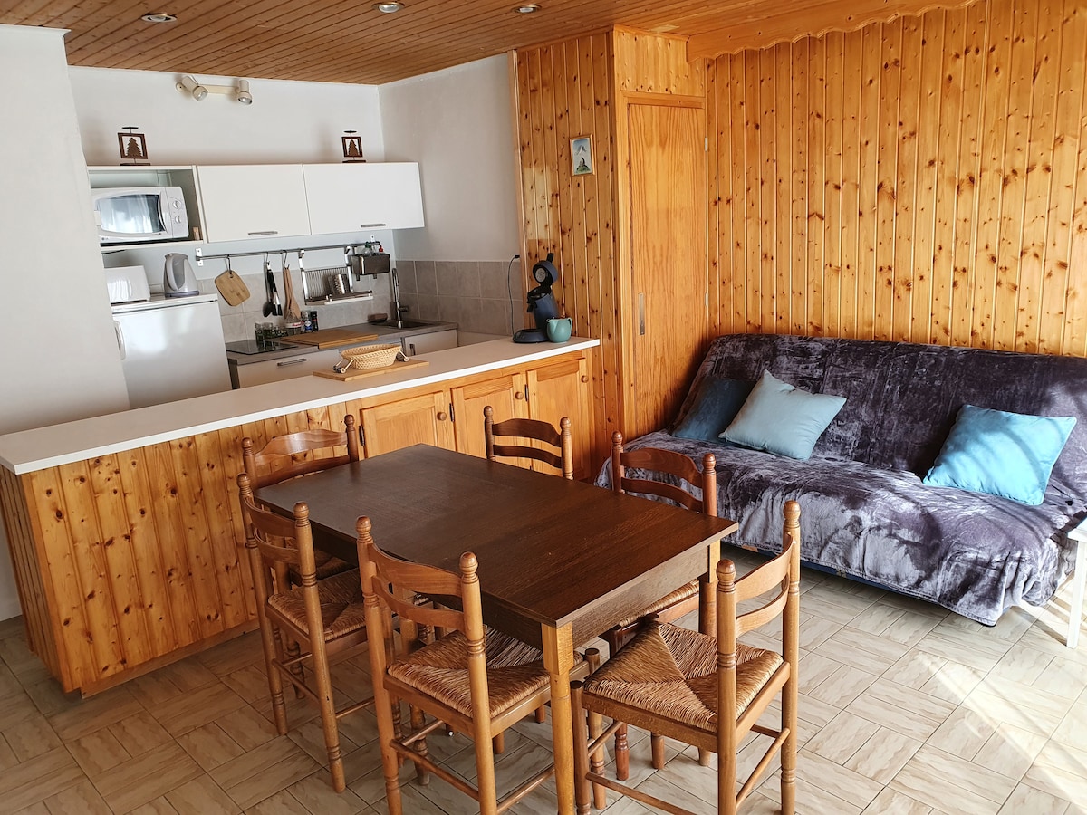 A spacious living area features wooden accents and natural light. The kitchen, equipped with modern appliances, is positioned adjacent to a dining table with six wooden chairs. A comfortable sofa bed with blue cushions adds a touch of color to the room.