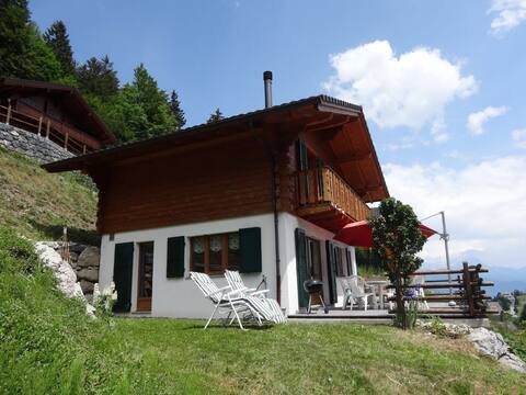 Chalet in the Portes-du-Soleil