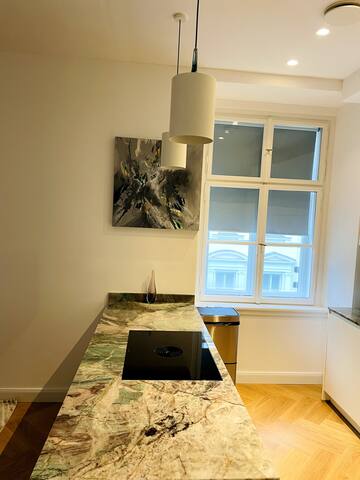 Imperial living in Vienna gallery image 5