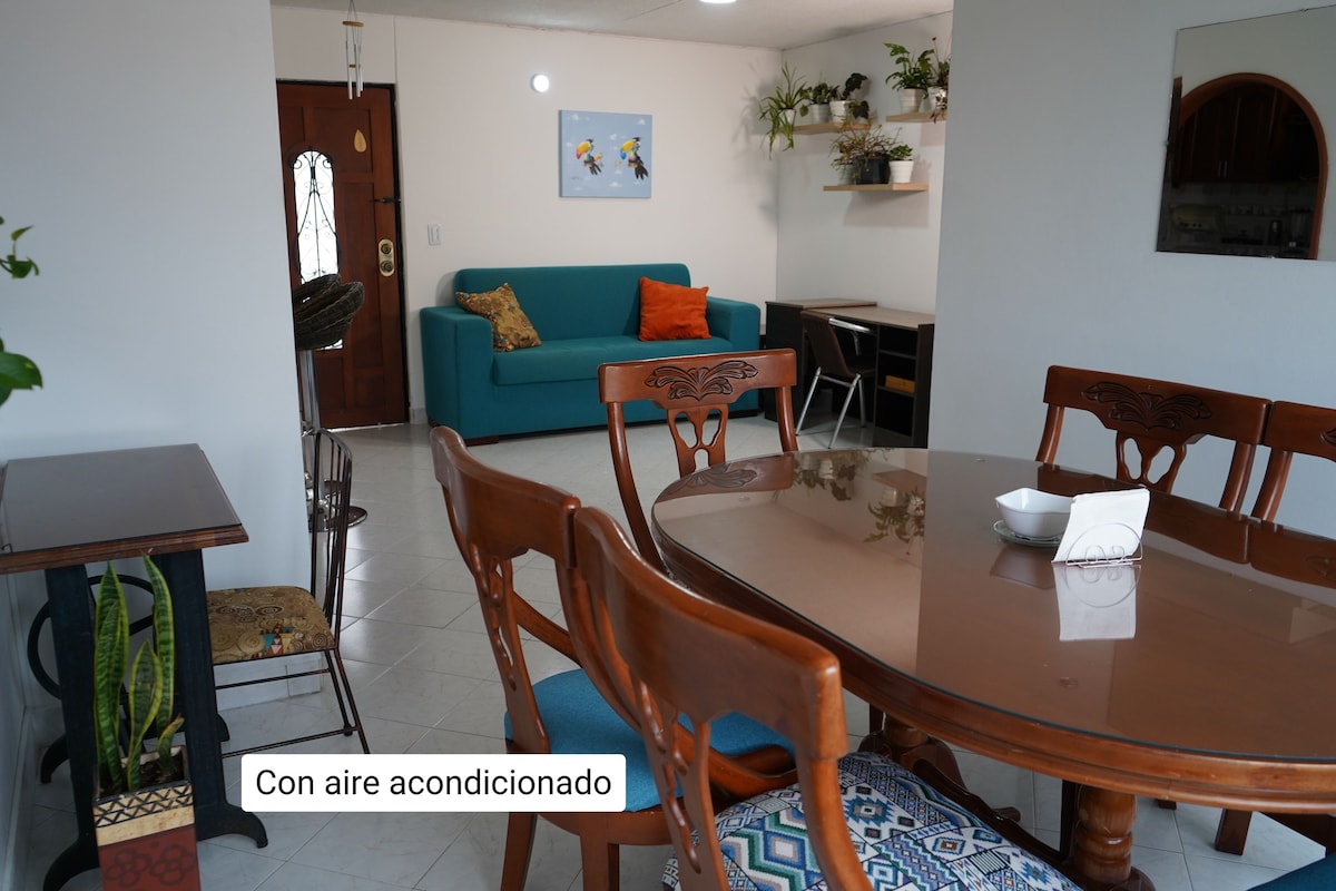 A dining area features a polished table surrounded by six wooden chairs. A cozy living space is highlighted by a turquoise sofa, with greenery on shelves adding a touch of nature. The space is bright and airy, complemented by air conditioning.