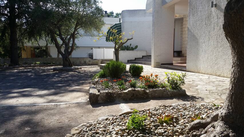 Los Verdiales gallery image 2