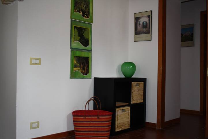 Los Verdiales gallery image 5