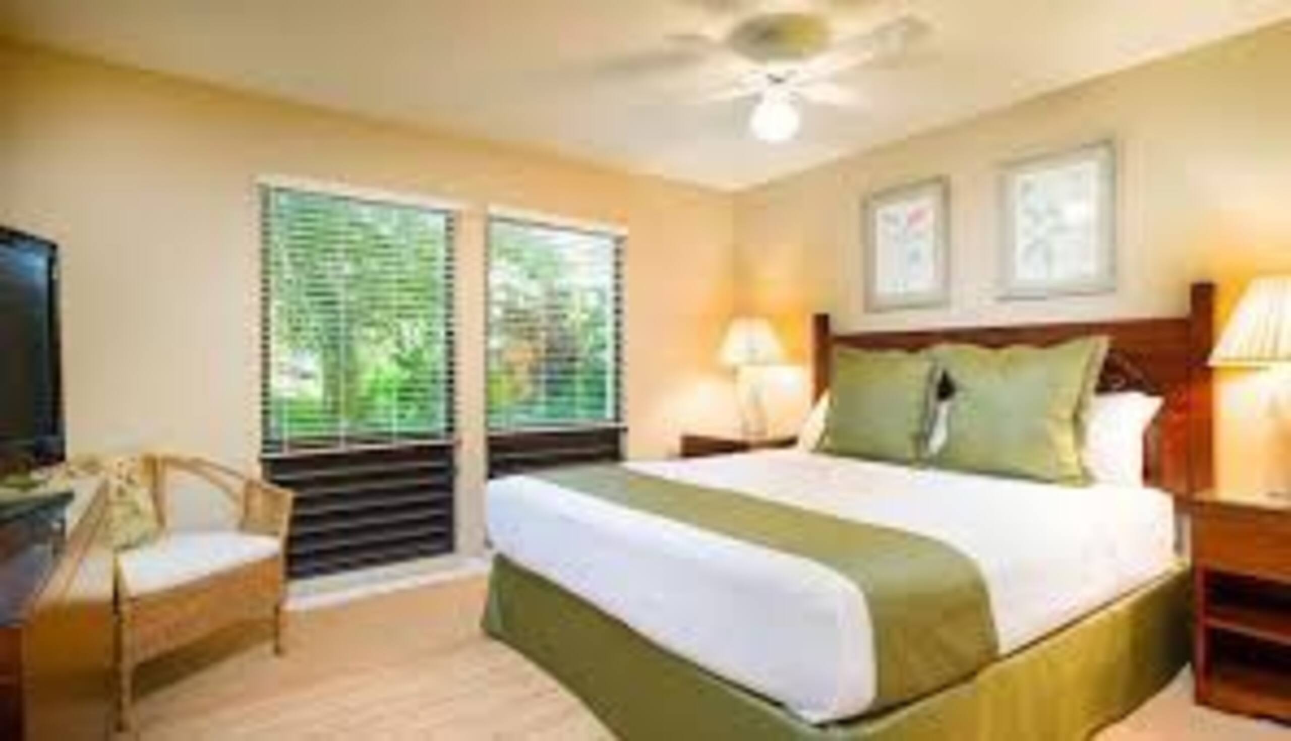 Special! Point at Poipu Resort- 2 bdrm Villa - Image 8