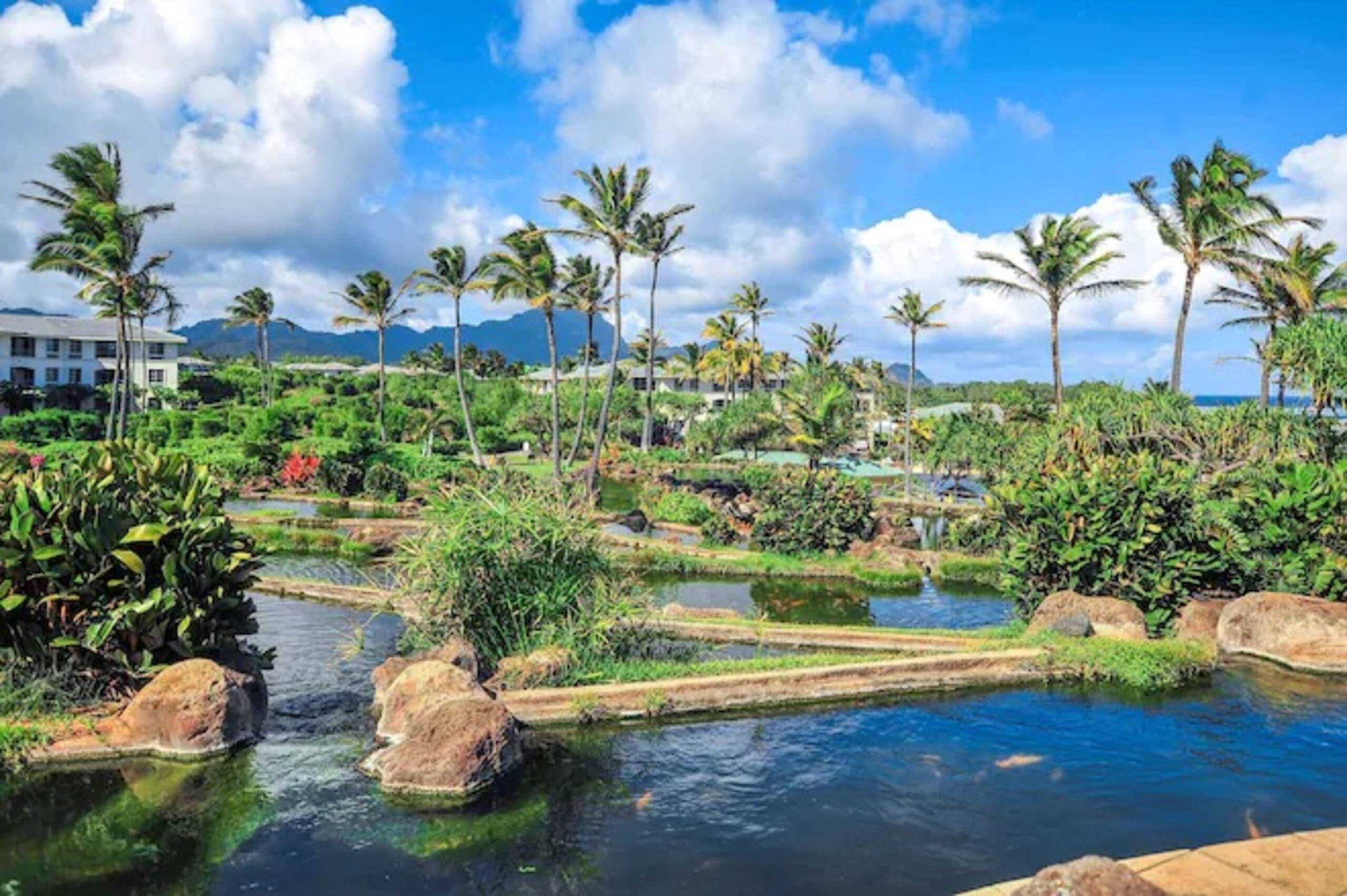 Special! Point at Poipu Resort- 2 bdrm Villa - Image 20