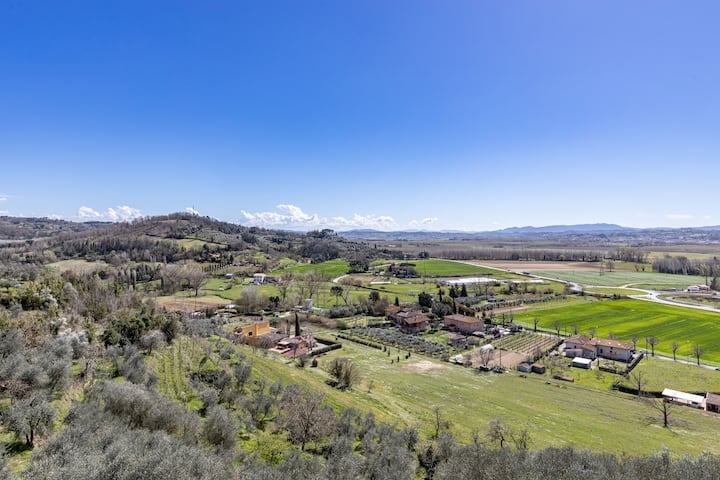 Bellavista - Pontedera