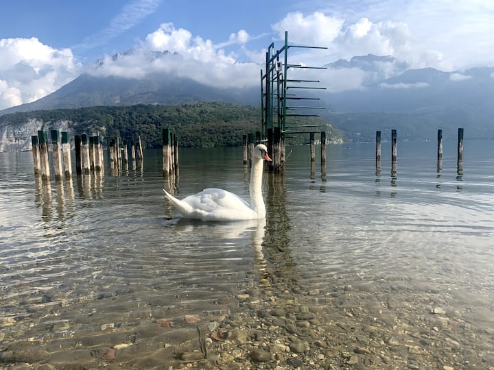 Chambre Cocooning Calme - Lac d'Annecy