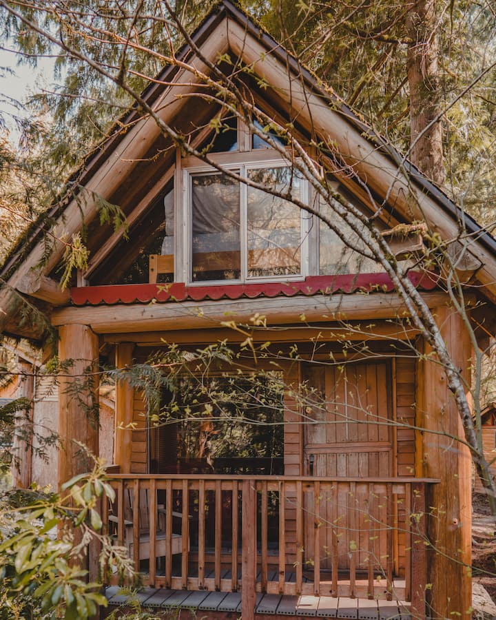 cabin 1