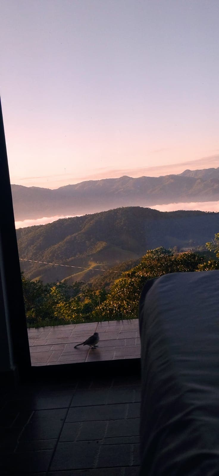 A stunning view of the mountainous landscape is captured through a large window, showcasing rolling hills and a misty valley. Early morning light casts a soft glow over the scenery, accentuating the lush greenery and layered mountains in the distance.