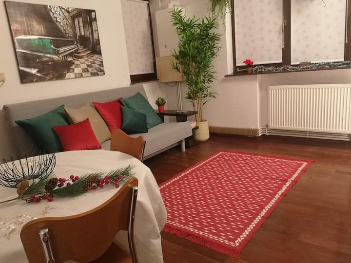 Appartement Charmant Dans Le Centre De Bucarest - Bucarest