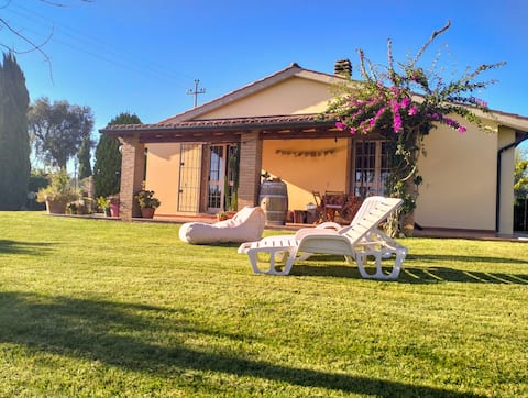 Successful Airbnb property: Villetta Rio surrounded by greenery in Cecina