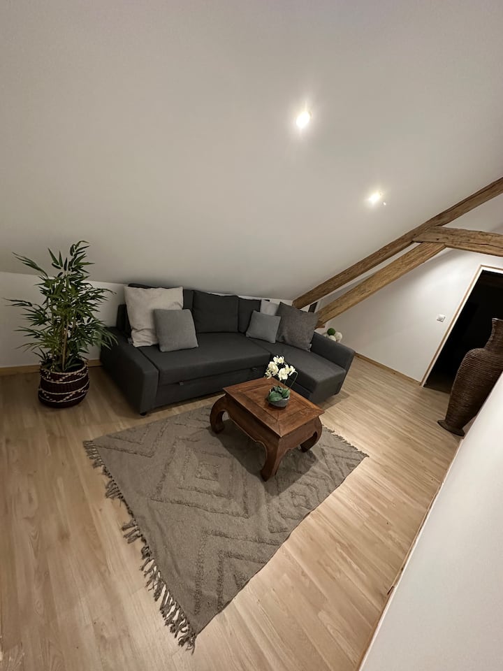 Private Double Room Bed and breakfasts for Rent in SainteGeneviève