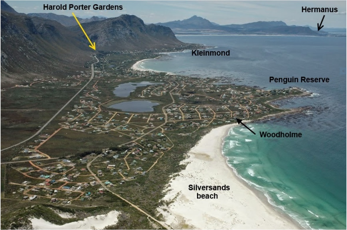 An aerial view captures the coastal landscape featuring the sandy expanse of Silversands Beach and the coastline curving along the turquoise waters. Nearby, the town's layout and local attractions, including Harold Porter Gardens and Penguin Reserve, are visible against the backdrop of mountainous terrain.
